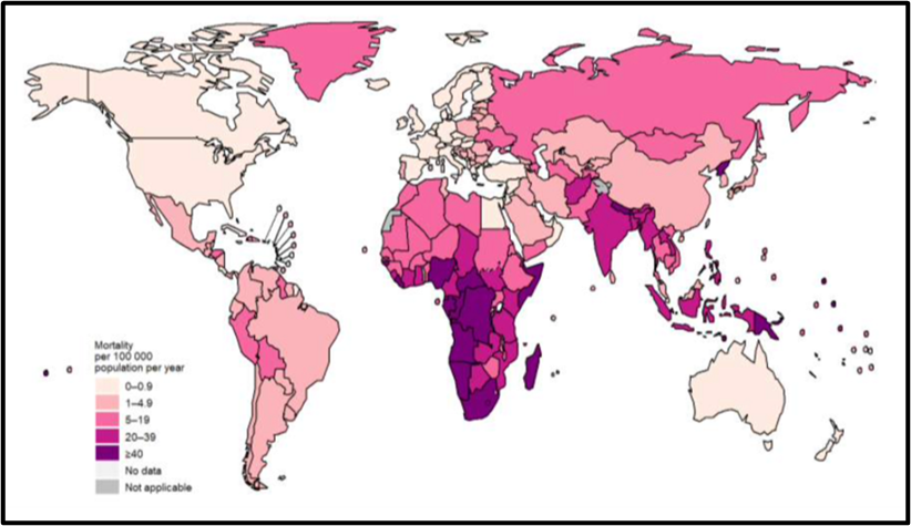 Tuberkuloosi kuolleisuus (ei hiv-positiiviset) maailmalla vuonna 2020